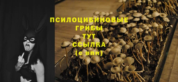 стаф Иноземцево