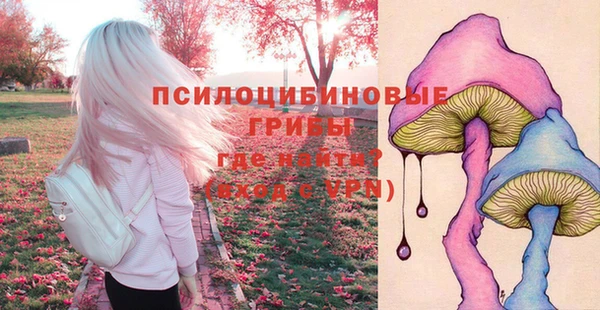 ГАЛЛЮЦИНОГЕННЫЕ ГРИБЫ Абдулино