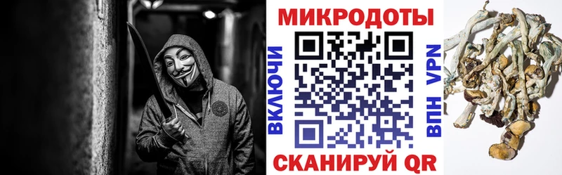 Псилоцибиновые грибы MAGIC MUSHROOMS  где купить наркоту  Александров 